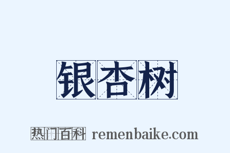 银杏树是什么意思的图片